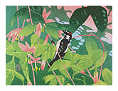 Andrea Rich woodcut - Downey Woodpecker 2007
