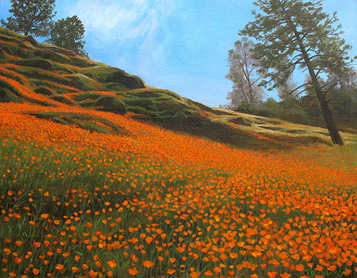 Poppies along the Merced by Terry Robinson