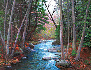 Winter Branches by Terry Robinson